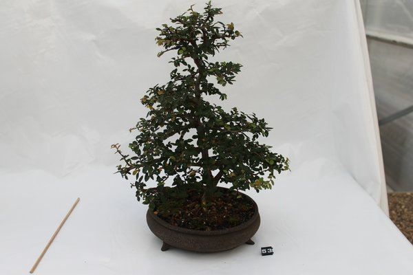IMG_6569.JPG