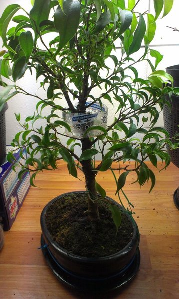 IMAG0108_1.jpg