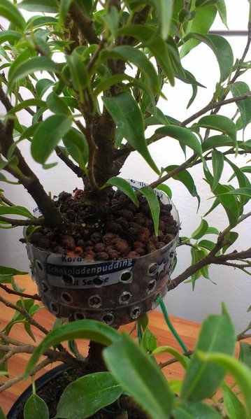 IMAG0111_1.jpg