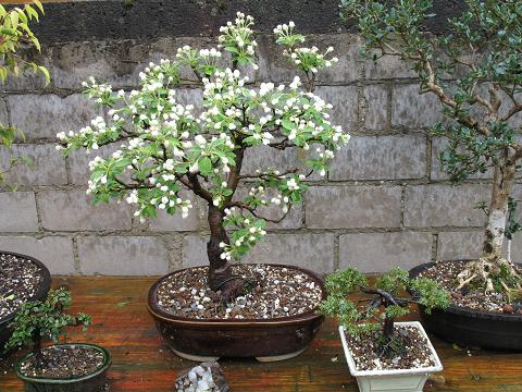 26.04.06 003.JPG