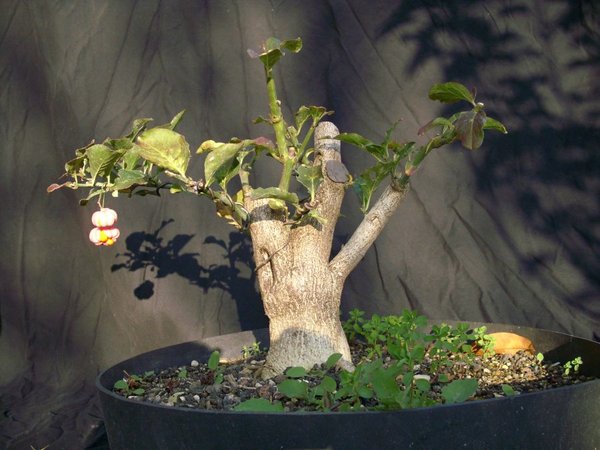 2012-10-07 10.48.34.jpg