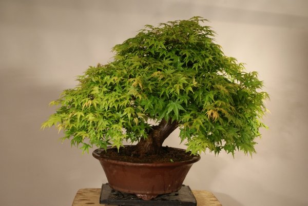 Mai 2015