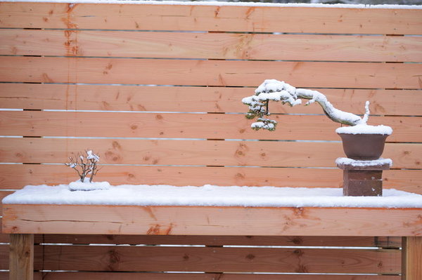 nochmal mit mehr Schnee, wo is der beistellet denn hin? :D