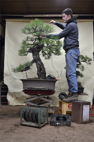 DSC_0350 1-small.JPG