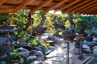 ......japanischer garten........