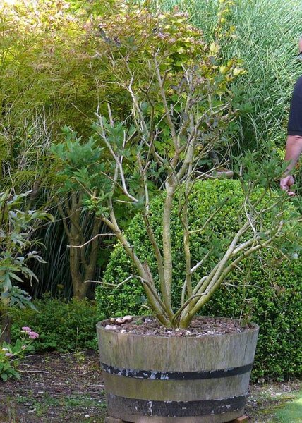 2011-09-10.jpg