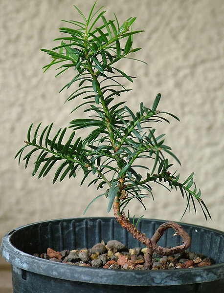 eibe-klein_01.jpg