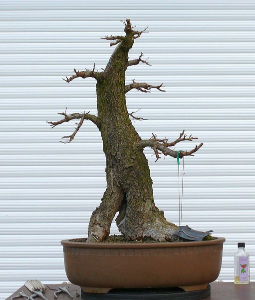 2012-11-11.jpg