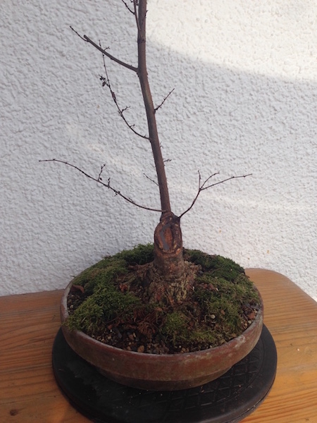2015-03-17 -2.jpg