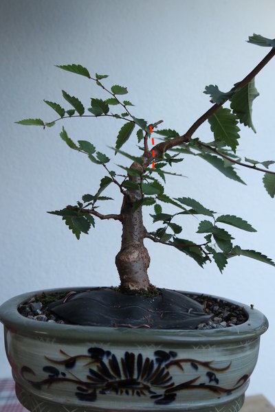 geplantes Einkürzen 2016
