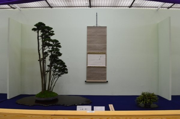 japan2015 228 (640x424).jpg