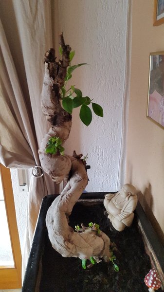 08.01.16 Bild 2.jpg