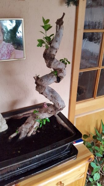 08.01.16 Bild 4.jpg