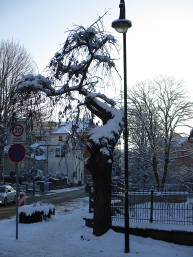 sonneberg2016 023a.jpg