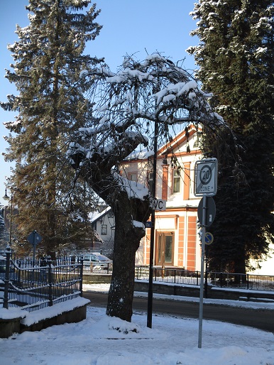 sonneberg2016 029a.jpg