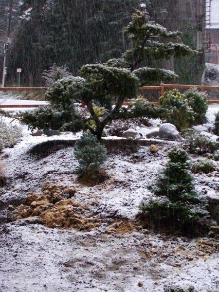Winter in Morsbach Jan. 2016