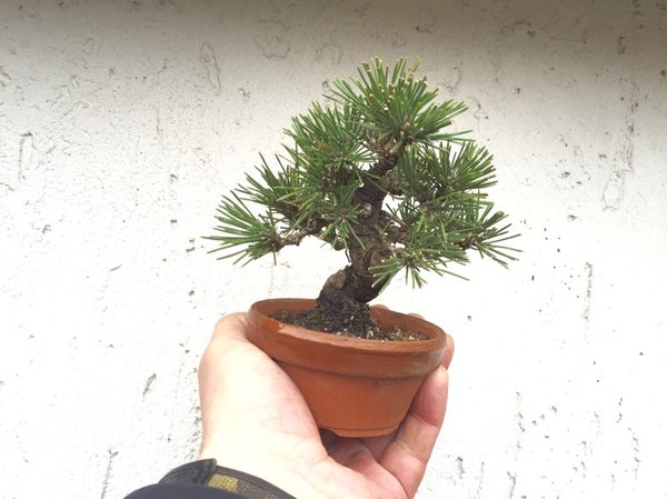 ....liegen gut in der Hand :0)