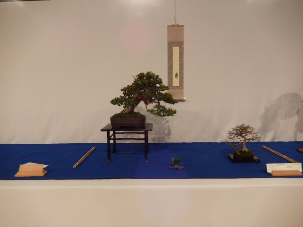 Präsentation Holger Eibe + Premna NT2016