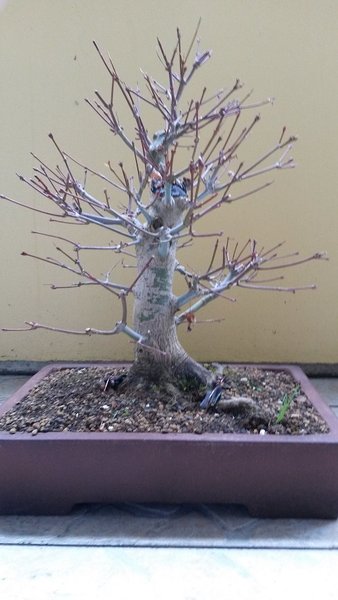 20160125_144734k.jpg