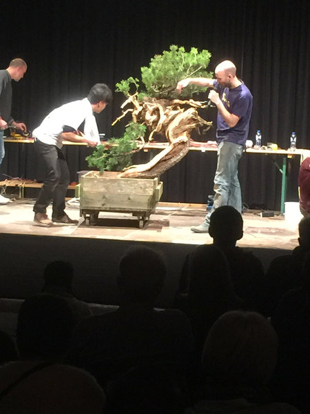 Demo von Taiga, Dolmetscher Peter Warren