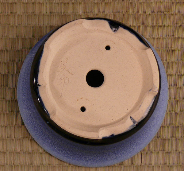 P1150345k.jpg