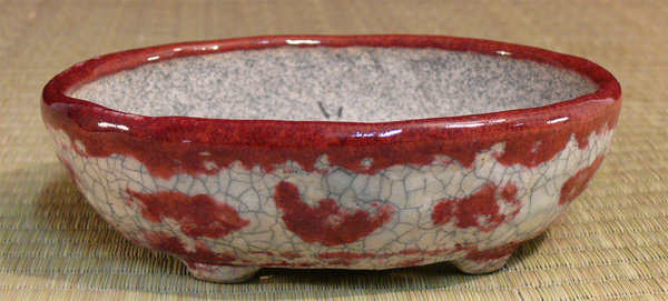P1150350k.jpg