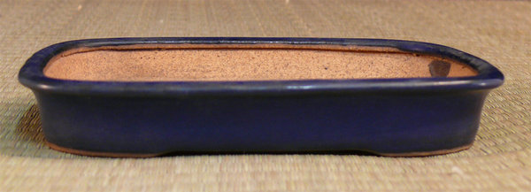 P1150355k.jpg
