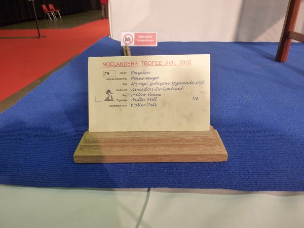 105.JPG