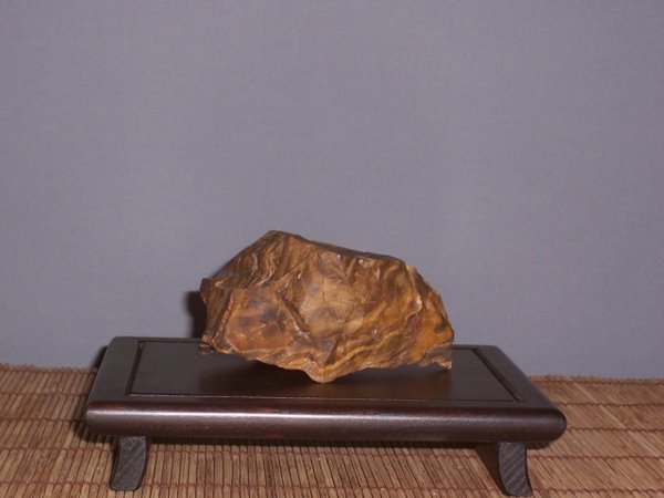 11 cm lg x 6 cm h