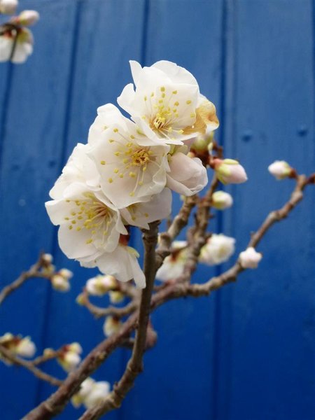 Februar 16