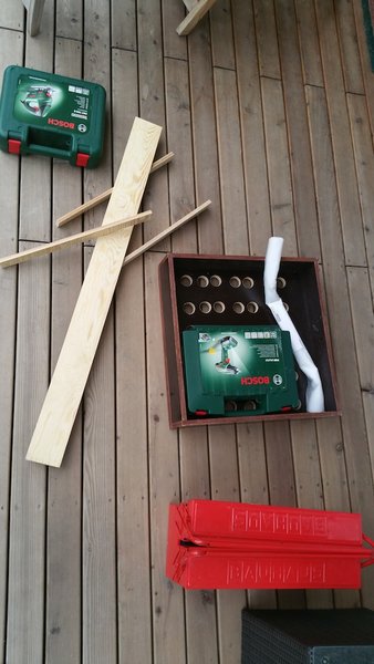 Stecklingszucht2.jpg