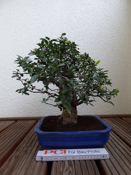 P1020365.JPG