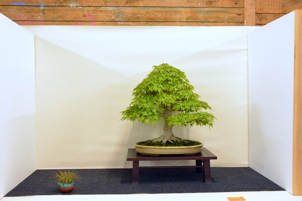 2015.06.jpg