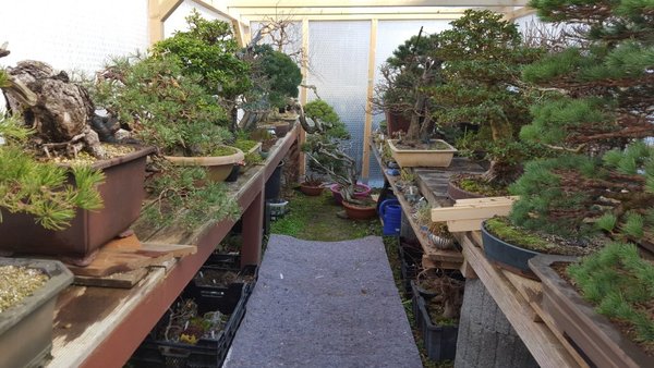 20160227_124125.jpg