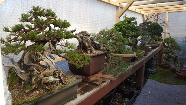 20160227_124131.jpg