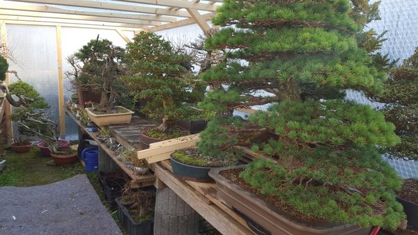 20160227_124136.jpg