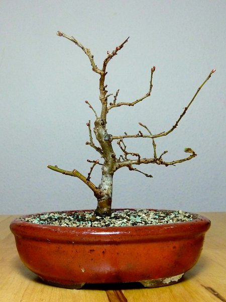 P1290481.jpg