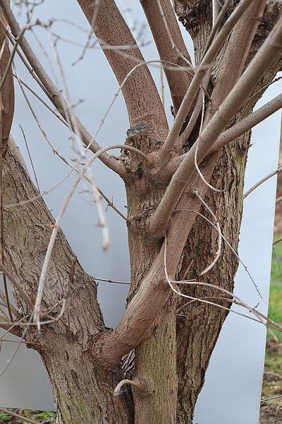 comp_DSC_0386.jpg