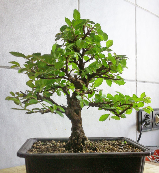 05-11b.jpg