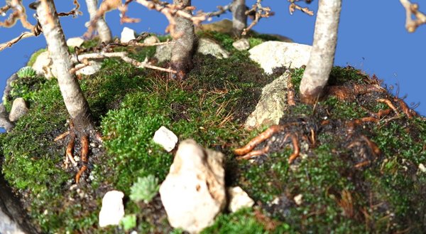 2016-03-07-detail2.jpg