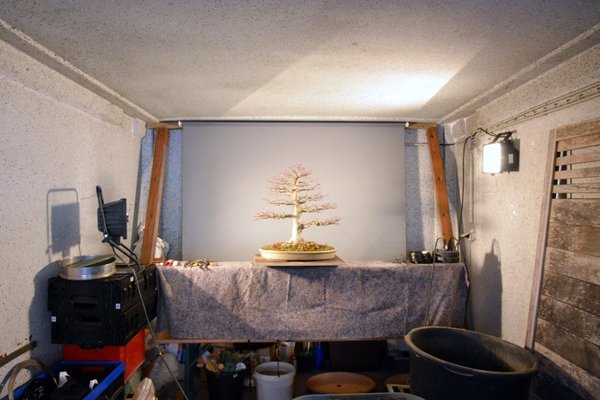 DSC_5055.JPG