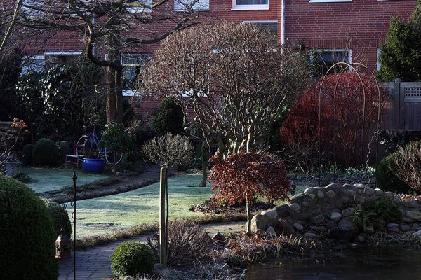 Gartenansicht 014 BFF.JPG