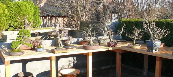 P1040068-1.jpg