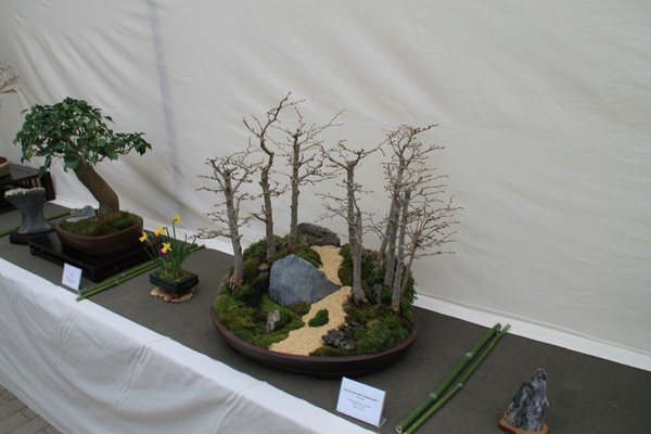 IMG_7050.JPG