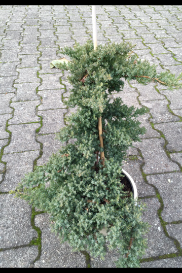 oktober2015.jpg