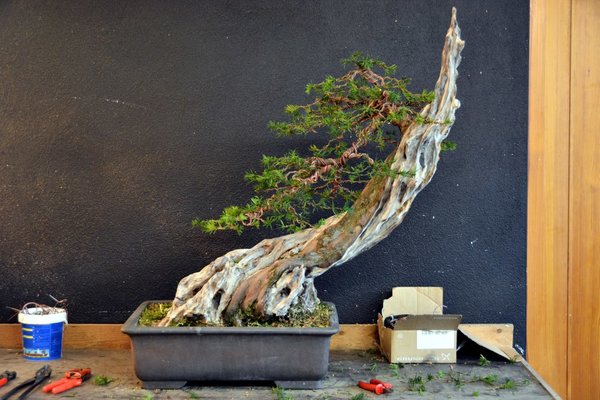 DSC_5146.JPG