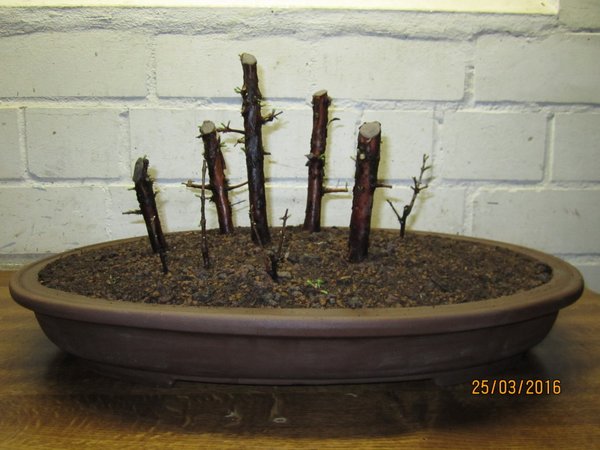 Back???