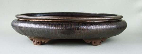 k-T-III 1618 Schlangenhaut a.jpg
