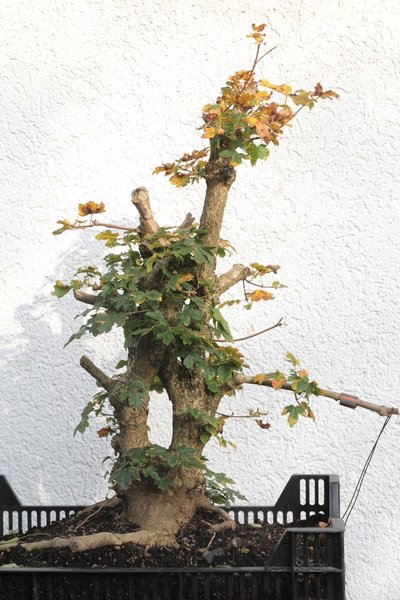 Rückseite
