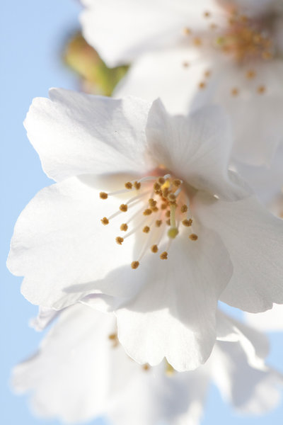 IMG_5824_klein.jpg